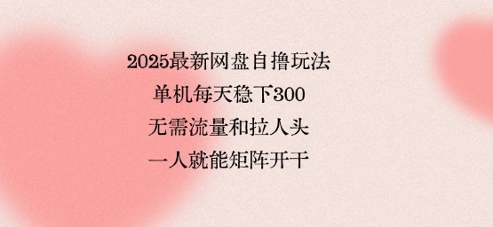 2025最新网盘自撸玩法，单机每天稳下3张，无需流量和拉人头，一个人就可轻松矩阵，全网独一份【揭秘】-悟空聊项目