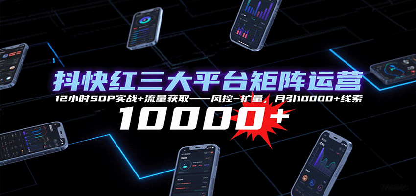 抖快红三大平台矩阵运营，12小时SOP实战+流量获取-风控-扩量，月引10000+线索-悟空聊项目