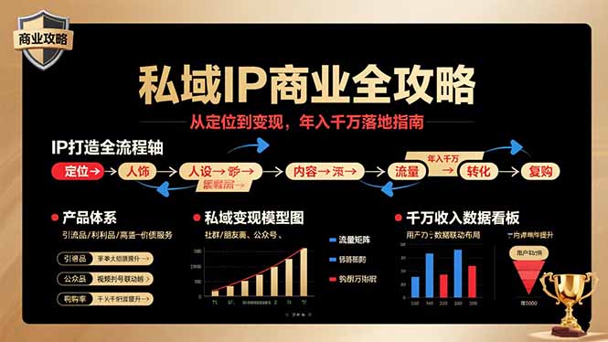 私域IP商业全攻略，从定位到变现，年入千万落地指南-悟空聊项目