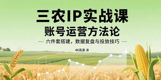 三农IP实战课：账号运营方法论，六件套搭建，数据复盘与投放技巧-悟空聊项目