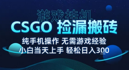 8月最新游戏搬砖，CSGO纯挂G，不需要玩游戏，实现真挂G，月入1W+【揭秘】-悟空聊项目